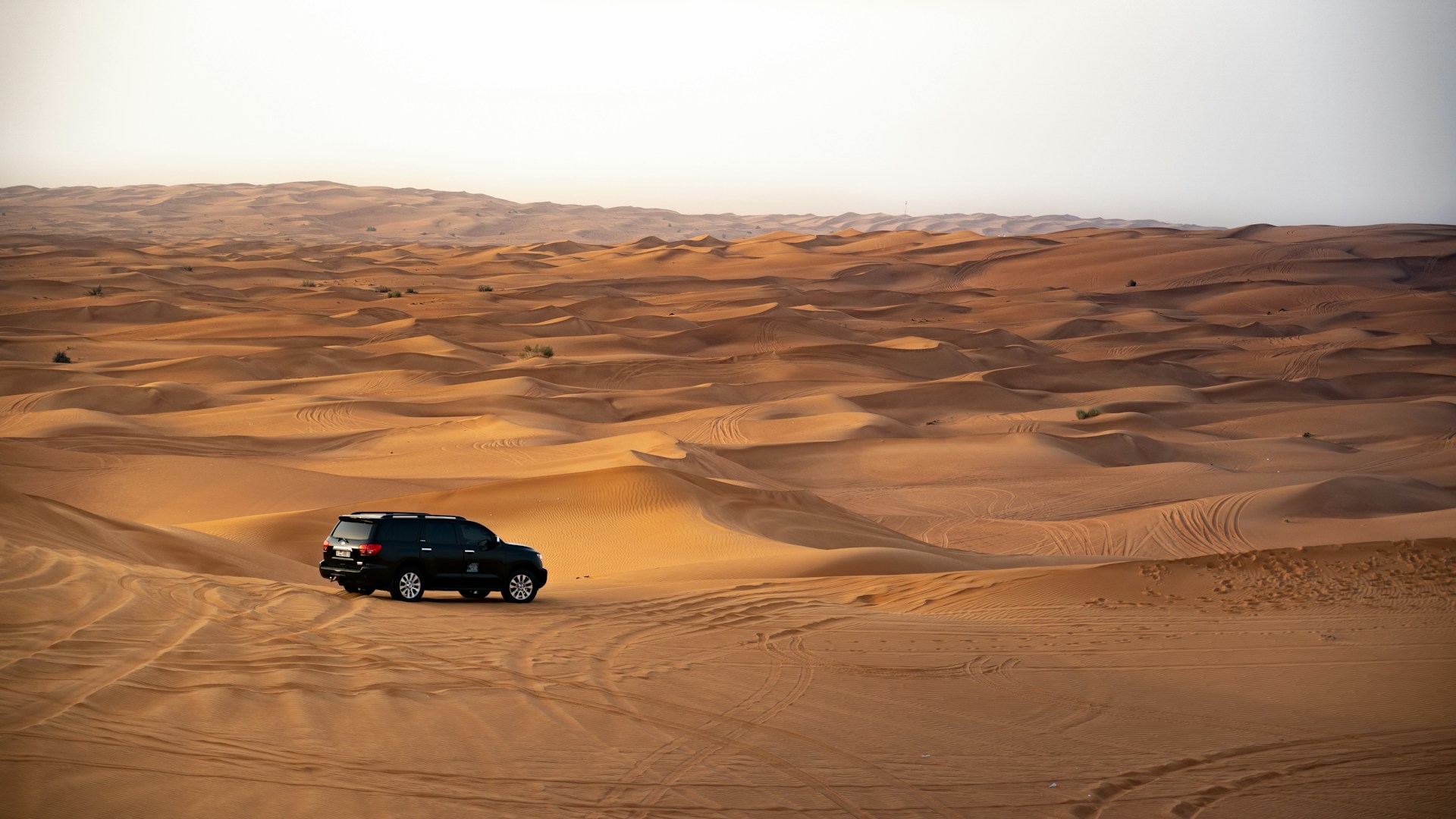 Evening Desert Safari